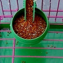 Bird Parrot Pet Cage Aviary Plastic Round Food Feeding Cup Supplies -AU Sale