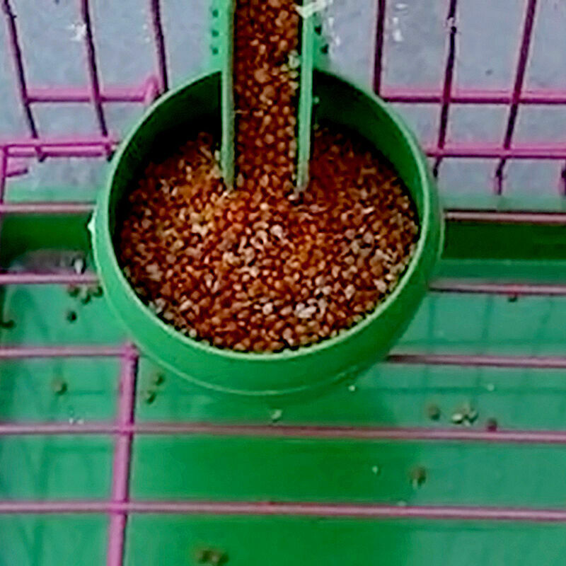 Bird Parrot Pet Cage Aviary Plastic Round Food Feeding Cup Supplies -AU Sale