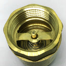 Full Brass Double Inner Wire Vertical Check Valve One Way Check Valve DN25