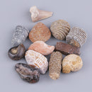 Pristine Natural Stones Reiki Rocks Ornament for Bonsai Fish Tank, Set of 12