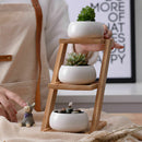 Decorative Small Round Succulent Plant Pot 3 Tier Bamboo Stand-Window Displ