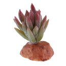 2PCS Aquarium Fish Tank Plants Succulents Reptile Hideaway Decoration - Reptile