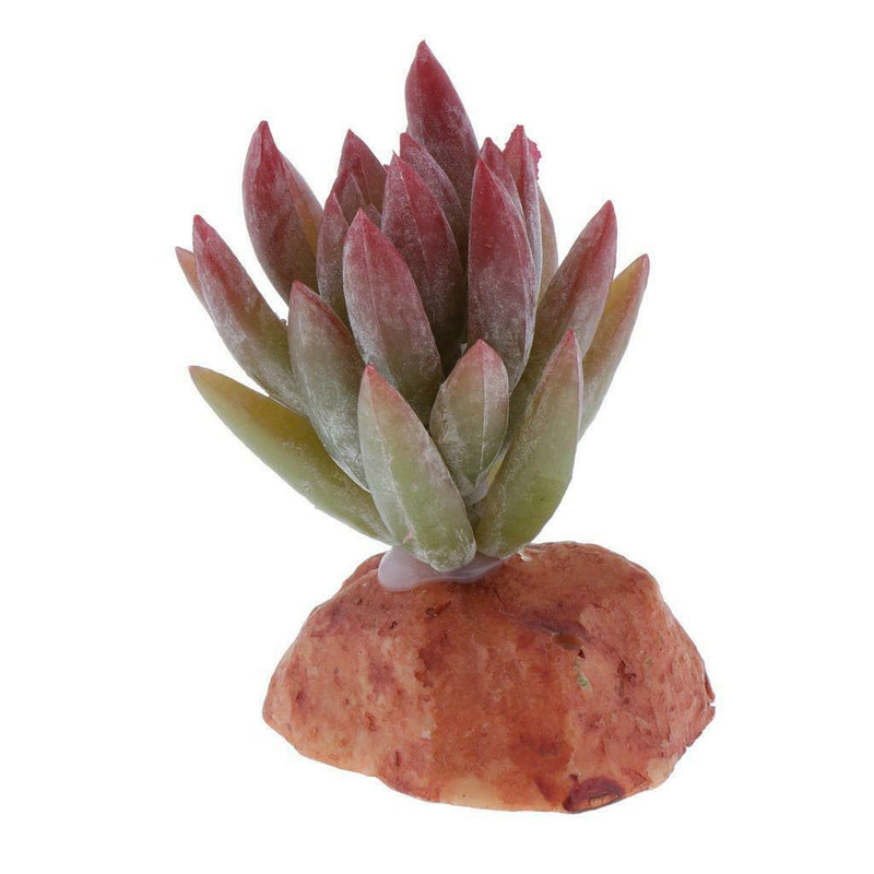2PCS Aquarium Fish Tank Plants Succulents Reptile Hideaway Decoration - Reptile