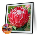 5D DIY Diamond Painting Flower Full Round Drill Embroidery Wall Art (QF312)