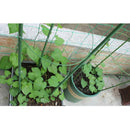 5 x Adjustable Garden Plant Support Ring 60cm Support Climbing Fits for