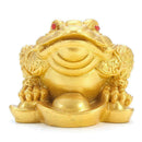 KiWarm Feng Shui Money LUCKY Fortune Wealth Chinese For Frog V7L9 Toad Home I2P2