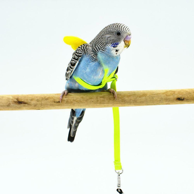 Parrot Bird Leash Adjustable Harness Pets Anti Flying Outdoor Training Rope NEW