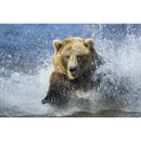 5D DIY Full Drill Diamond Painting Animal Cross Stitch Embroidery (C1141)