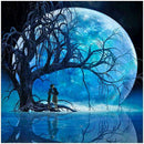 5D DIY Full Drill Diamond Painting Moon Embroidery Mosaic Craft Kit (z1562)