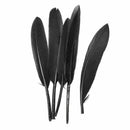 50pcs Dyed Goose Feathers DIY Hairstyles Decor Jewelry Wedding Party - Blac I3I7