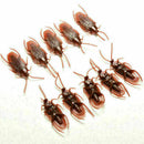 20Pcs Halloween Realistic Rubber Roach Cockroach Simulation Bug Toys L6N8. E2A9