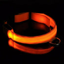 Dog Collar with 4 Modes Safety Flashing LED Light Safety Dog Pet Collar Tag