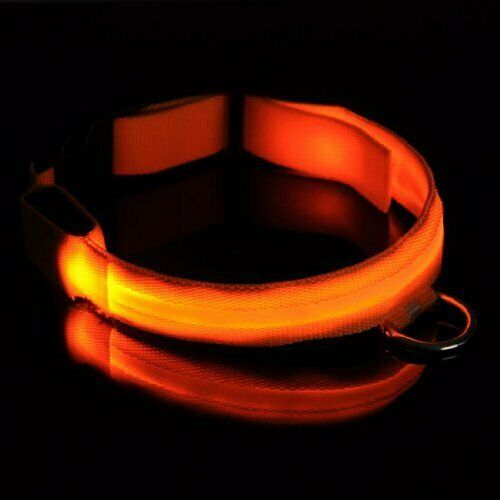Dog Collar with 4 Modes Safety Flashing LED Light Safety Dog Pet Collar Tag