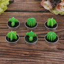 6Pcs Cactus Candle Tea Light Paraffin Home Decor Party Favor Plants Candle