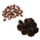 40pcs Mini Natural Dried Pine Cones for Xmas Tree Hanging Decors