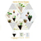 Wall Hanging Container Storage Rack Household Innovative Indoor Living Room