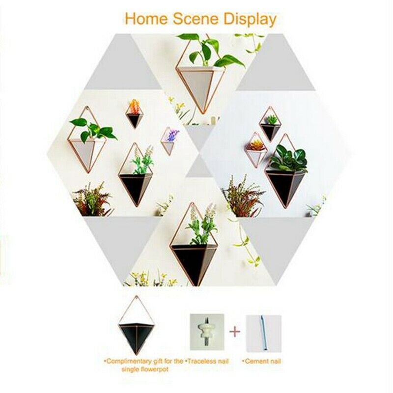 Wall Hanging Container Storage Rack Household Innovative Indoor Living Room