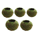 6~18cm Creative Moss Ball Flower Pot Planter Bonsai Plant Holder Home Garden, 5