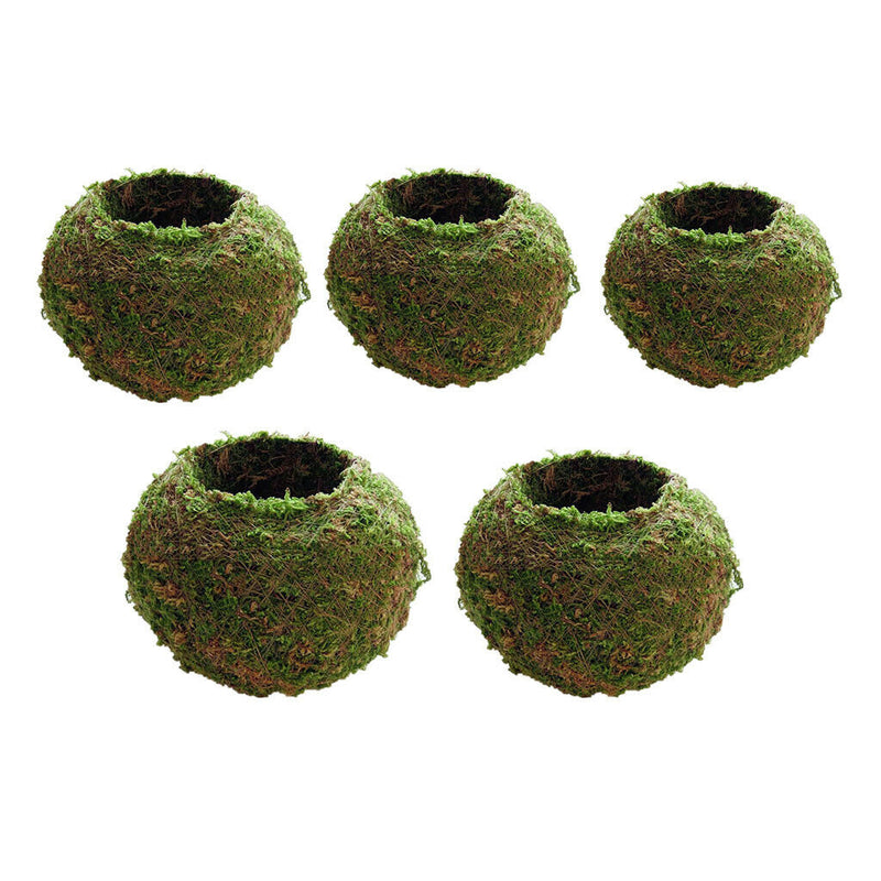 6~18cm Creative Moss Ball Flower Pot Planter Bonsai Plant Holder Home Garden, 5