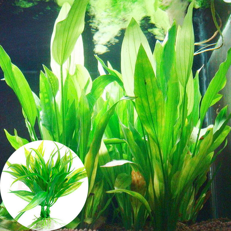 Water Grass Green Plant Ornament For Fish Tank Artificial Plastic Aquarium NEW
