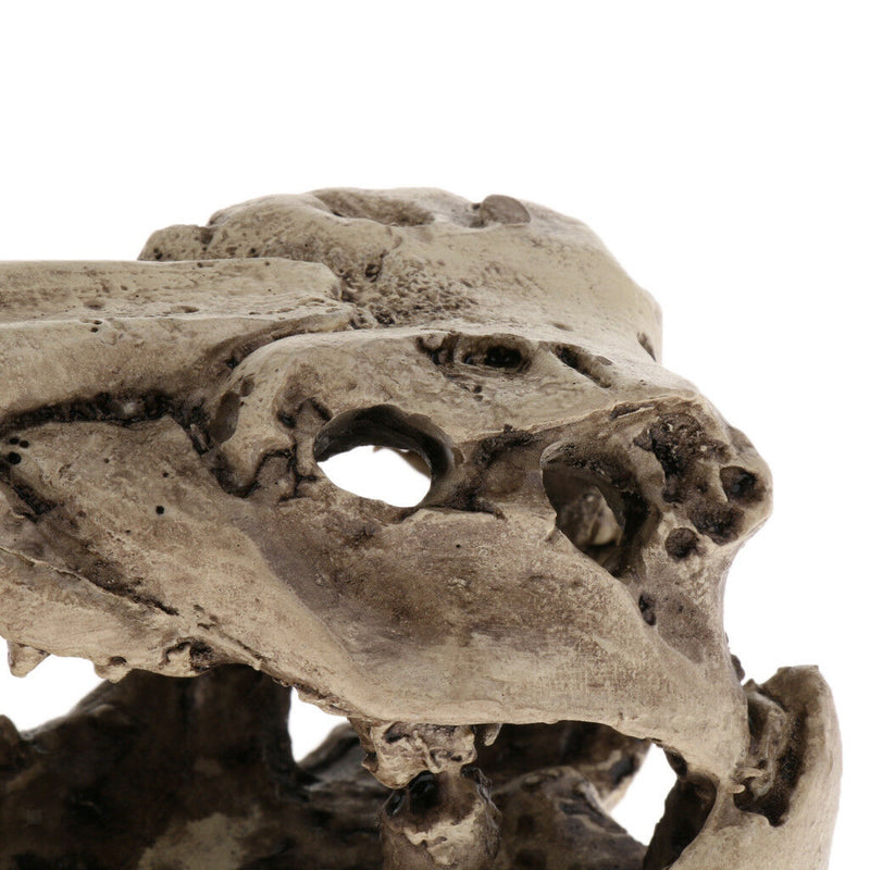 Dinosaur Shape Reptile Hideouts, Lizard, Spider and Aquarium   Hide Cave