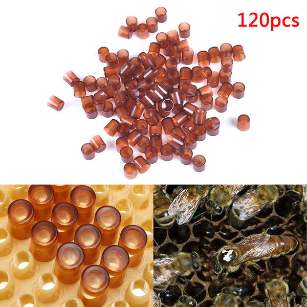 120pcs beekeeping queen cell brown bee feeding tools applicable to beekeepers Gw