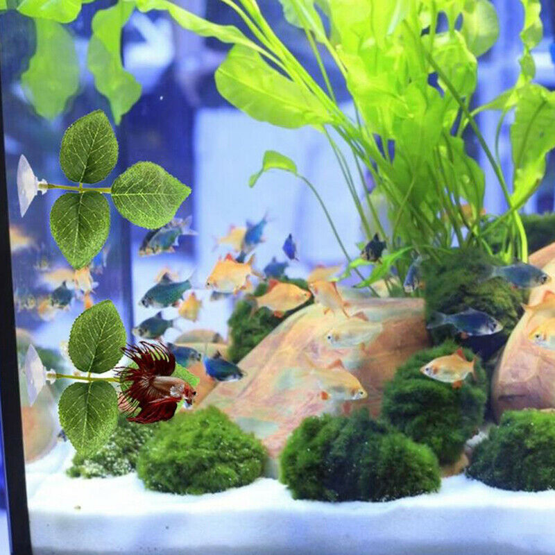 Aquarium Betta Leaf Artificial Plant Fish Oviposition Rest Bed Fish Tank DecFT