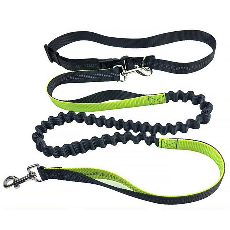 Pet Walking Leash Dog Elastic Running Accessories Multifunctional Sports Leading