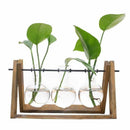 Plant Terrarium with Wooden Stand Glass Vase Holder for Home Decoration,Sci