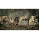 Animals 5D DIY Full Round Drill Diamond Painting Hanging Digital Drawings