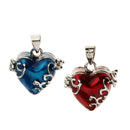 2Pcs Heart Keepsake Urn Pendant Cremation Charms for Ashes Human Pet Waterproof