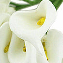 12Pcs Mini Calla Artificial Flower Bouquet Wedding Decoration DIY Wreath Gi