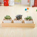 4x Natural Wooden Succulent Plant Flower Bed Pot Through Box Garden Planter