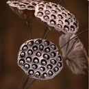 Lotus Natural Dried Flowers Bouquet Dried Plants Branch Fall Decorations Flor&+