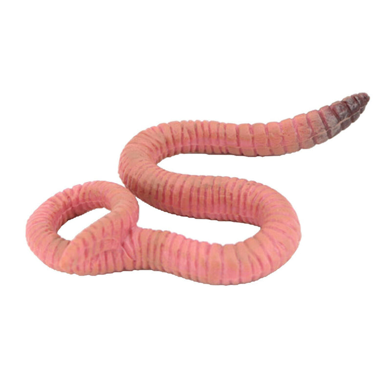 3x Realistic Nature Life Cycle Animal Growth Child Education Toys