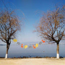 Cute felt banner garland lion elephant giraffe decoration for the child's b