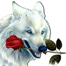 5D DIY Diamond Painting White Wolf Cross Stitch Embroidery Rhinestones Kits