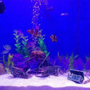 Aquarium Large Broken Boat Shaped Fish Tank Separated Shipwreck Wreck Sunk H0P3