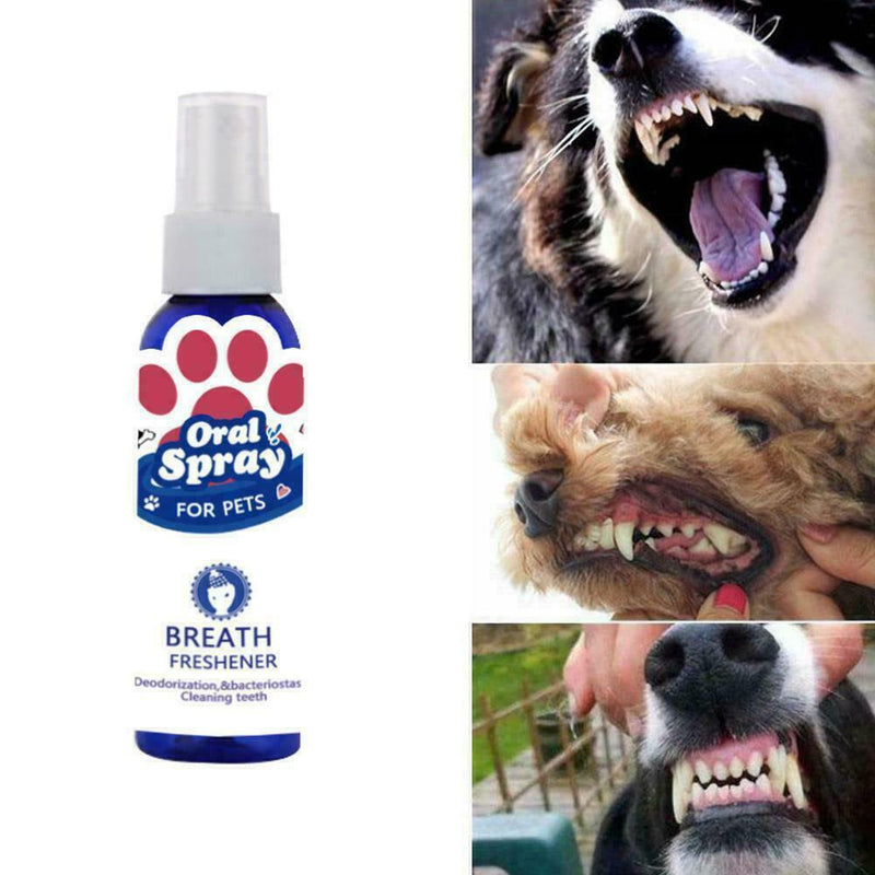 Pet oral cleanser 60ml Mouth Spray Dog Puppy Fresh Breathing Useful Dental P1I6