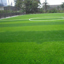 1000 stk/pack Rasensamen SunGrass Rasen Pro Grassamen I0O8 Saatg Rasen I8E9