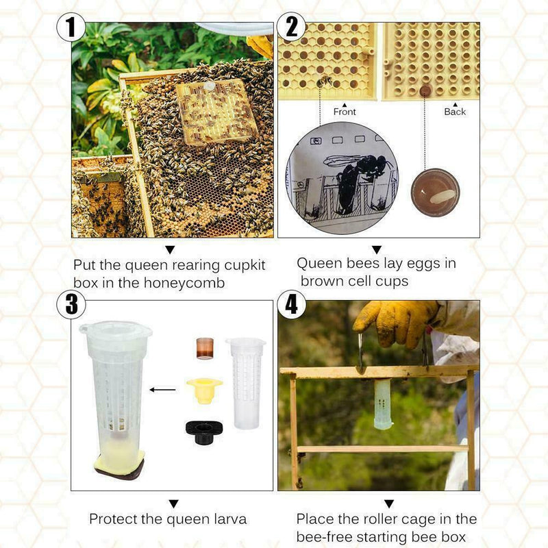 Bee Queen Rearing Cupkit Complete Box System Beekeeping Kit/Set 100Cell Cup E3T8