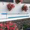 Pool Pole Hanger Premium 2Pcs Aluminium Holder Set, Perfect Hooks for Teles