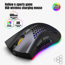 D2 2.4GHz RGB Wireless Gaming Mouse Rechargeable Hollow PC Mice (Black) A