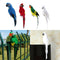 4 Piece Foam Artificial Mini Birds Handmade DIY Craft Home Garden Decorations