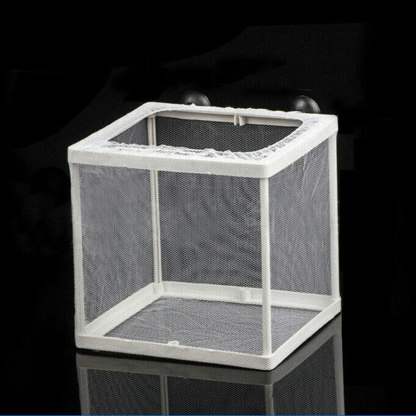 Fish Tank Plastic Frame White Net Fry Hatchery Breeder w Suction Cups C9X6
