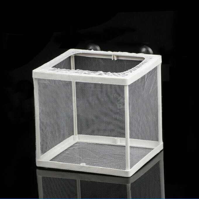Fish Tank Plastic Frame White Net Fry Hatchery Breeder w Suction Cups C9X6