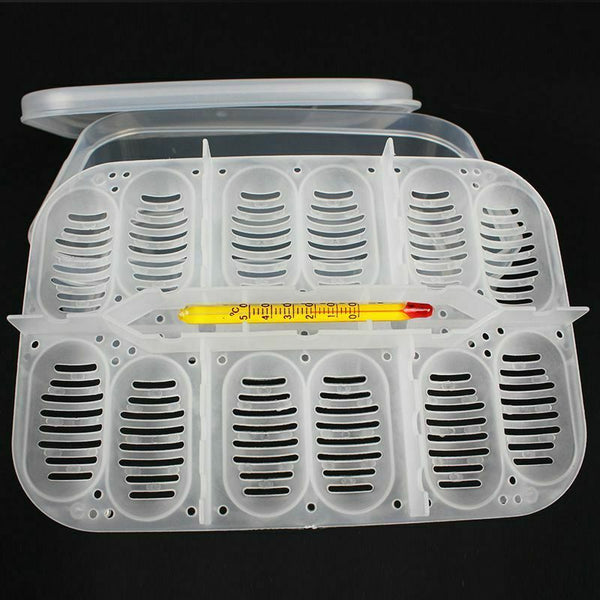 12 Holes Reptile Egg Incubation Tray With Thermometer Incubating Gecko Liza