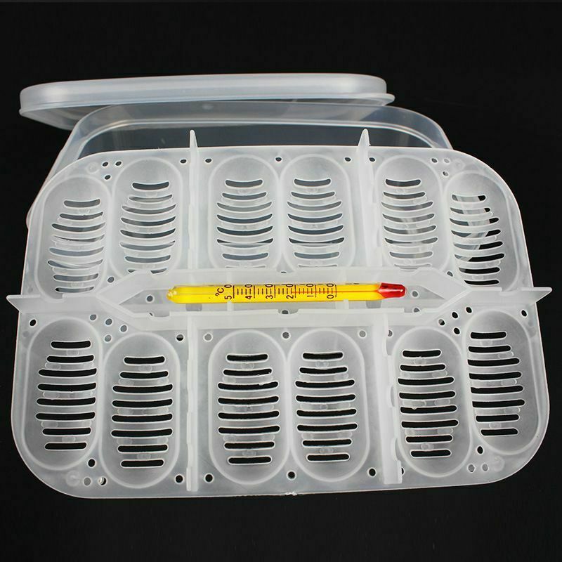 12 Holes Reptile Egg Incubation Tray With Thermometer Incubating Gecko Liza