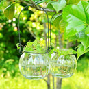 Hanging Flower Plant Vase Pumpkin Candle Holder Terrarium Home Wedding Decor