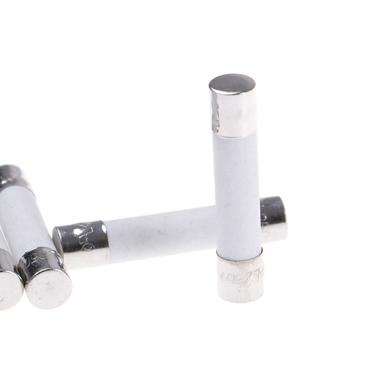 10 Pcs Microwave Ceramic Fuse Electric 20A 250V Home Supplies DIY 6x30mm.ftL Ew